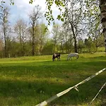 Mazurskie Chatki *